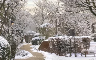 Winterstimmung Hanseanum Krefeld